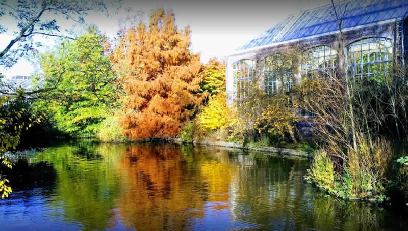 Hortus Botanicus de Ámsterdam