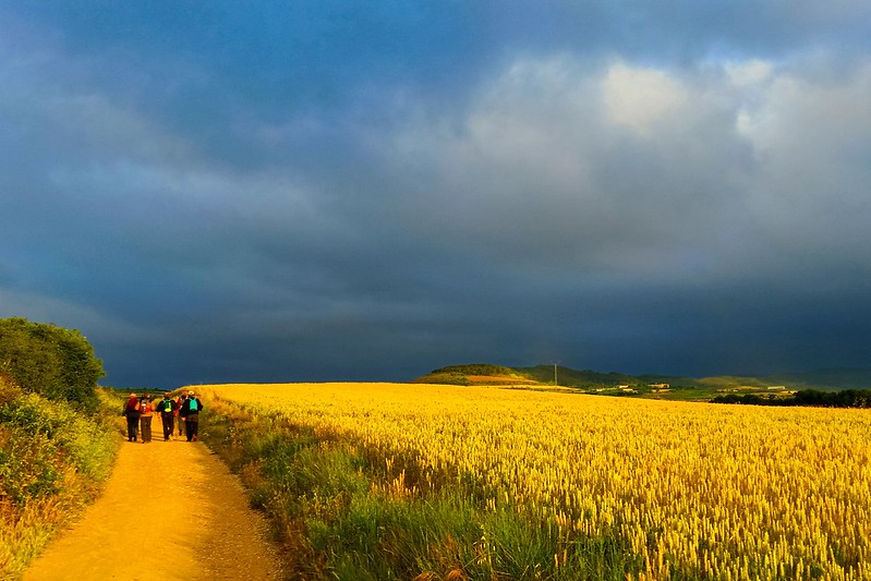 camino santiago