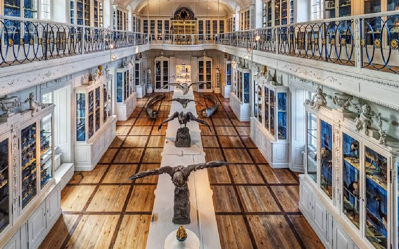 Museo de Historia Natural de Bamberg